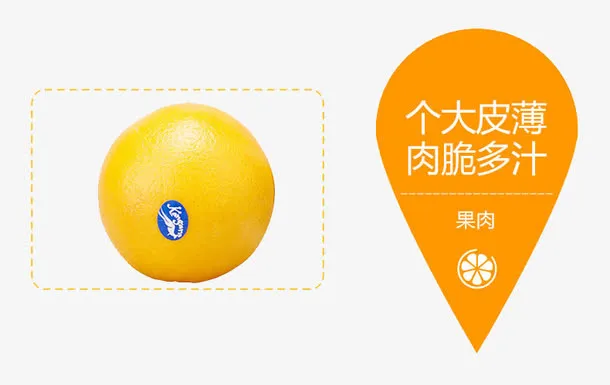 橙子介绍图免抠