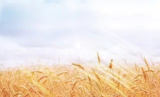 夏装换季促销海报背景素材高清