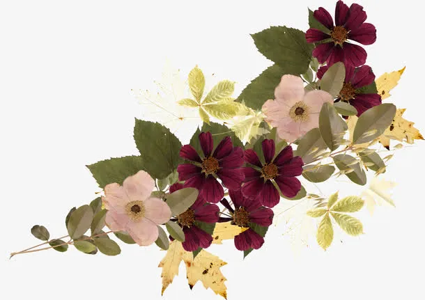 一束鲜花免抠
