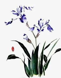 手绘水彩兰花免抠