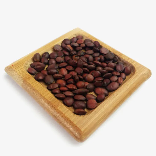 生酸枣仁药材免抠