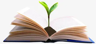 书中的小树苗免抠