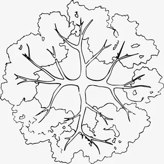 树木枝干树冠黑白风手绘线稿平面免抠