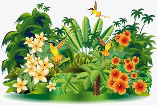 鸡蛋花 花瓣免抠