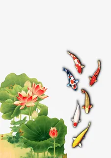莲花荷叶锦鲤免抠