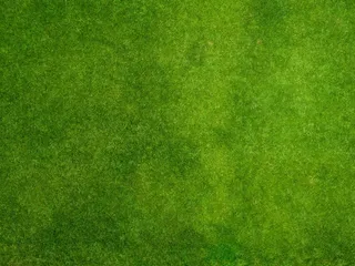 操场 草地 绿色 背景高清