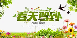 春天  绿植 花草  素材免抠