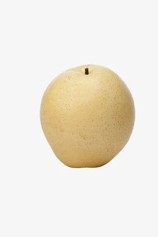 白蜜梨摄影免抠