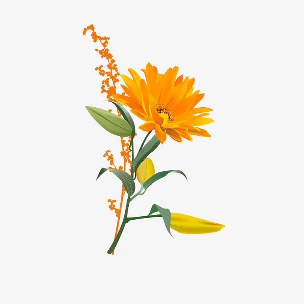 手绘花树免抠