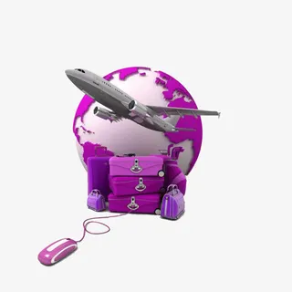 京东到家紫色空运快递免抠