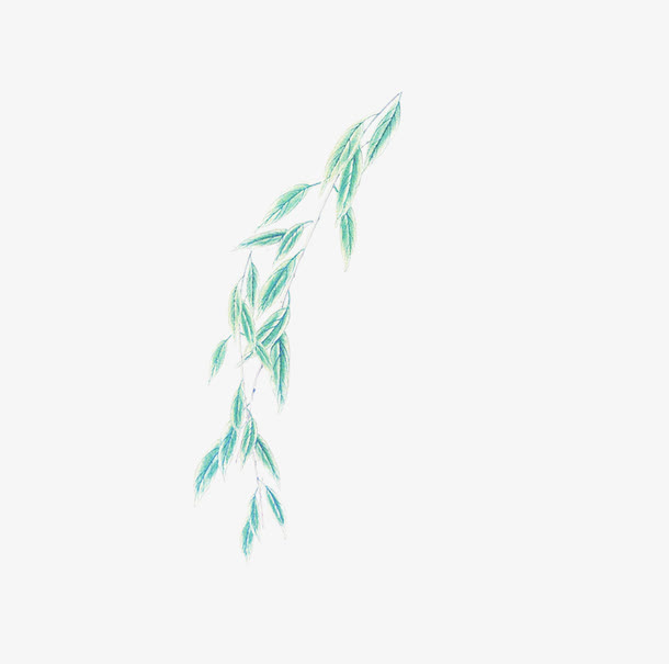 柳枝免抠
