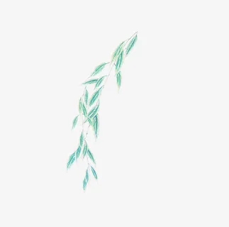 柳枝免抠 柳枝免抠