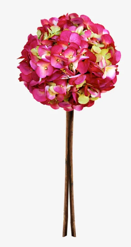 时尚风格装饰花边花朵树木叶子免抠