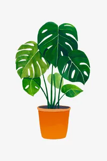 绿色的盆栽免抠