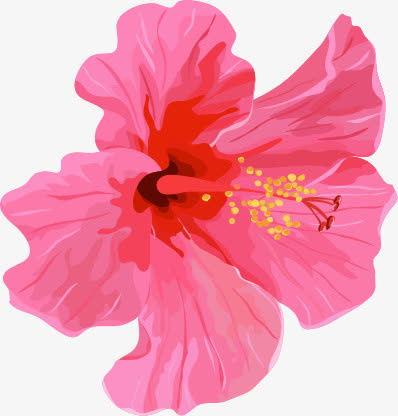 粉色水彩鲜花花朵免抠