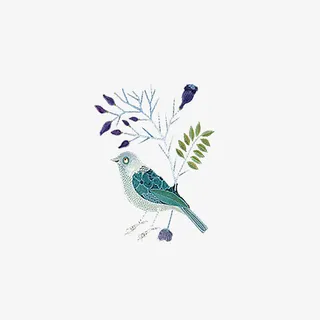 春天小草小鸟免抠动植物动物元素