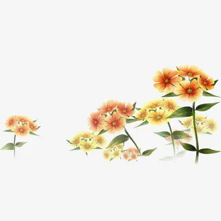 漂浮树叶花朵免抠