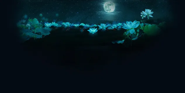 荷塘夜色背景高清 荷塘夜色背景高清