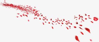 唯美创意花瓣飘落免抠