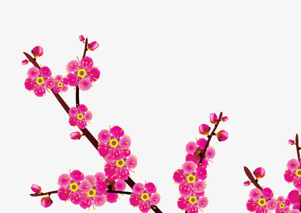 梅花免抠