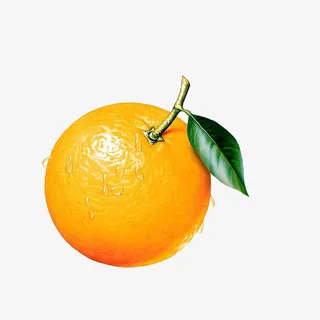 橙子免抠