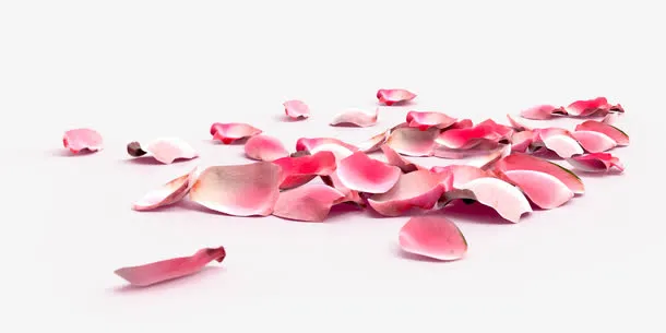 浪漫玫瑰花花瓣修饰免抠