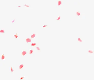 粉色漂浮花瓣漂浮装饰免抠