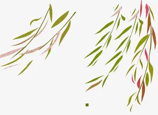 绿色清新柳条装饰图案免抠