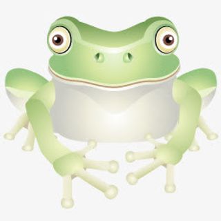 青蛙高清仿真动物PNG图标免抠