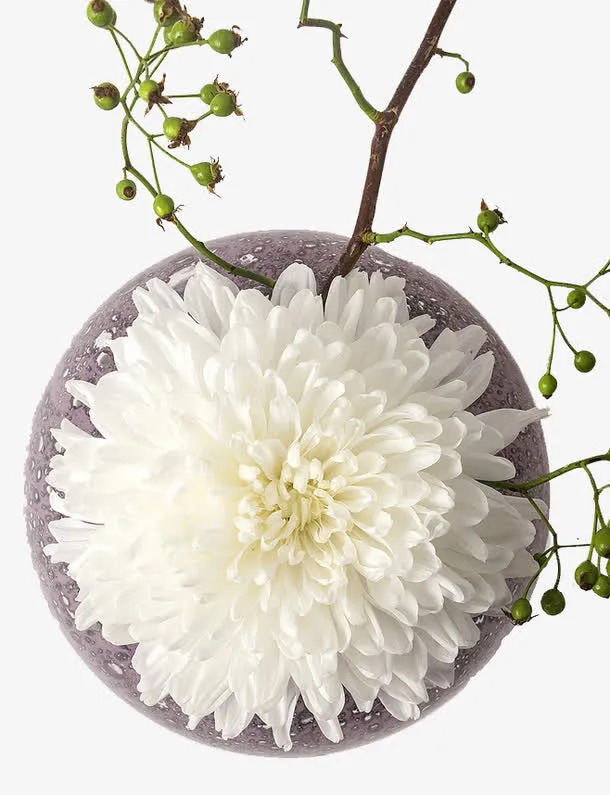 花儿免抠