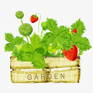 春天装饰图片免抠