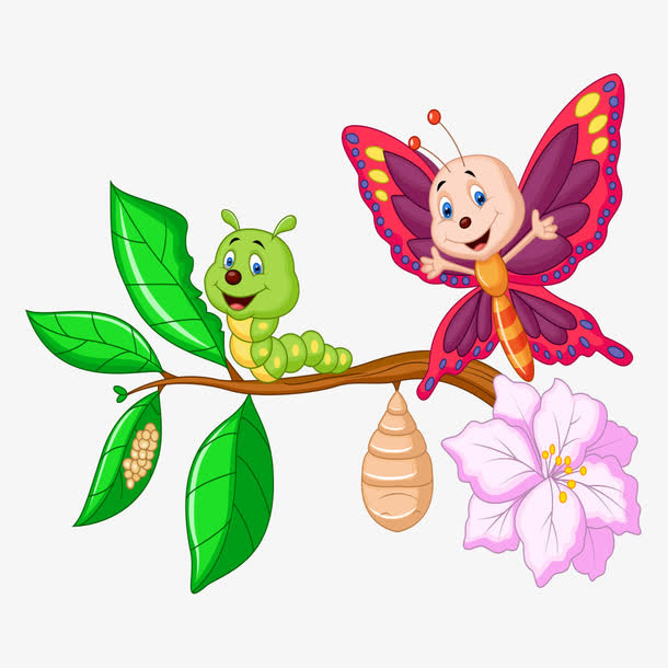 树枝上的虫子免抠