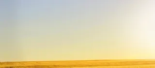 纯色背景金高清