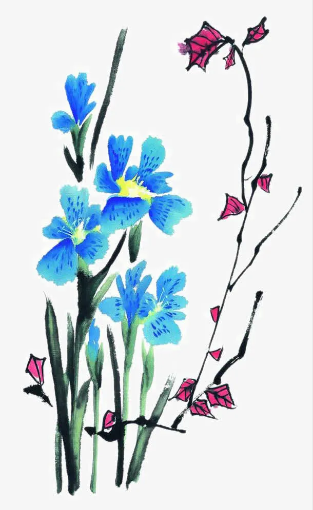 手绘花草免抠