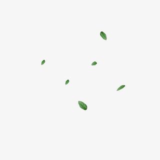 清新漂浮绿叶免抠