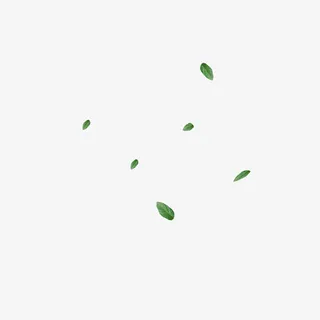 清新漂浮绿叶免抠