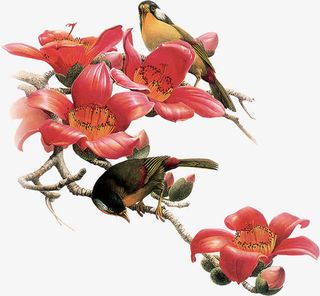 红色花鸟树枝免抠