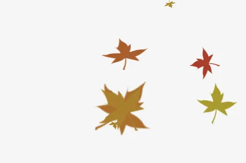 手绘枫叶设计免抠