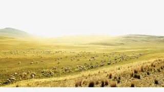 广阔的草原免抠