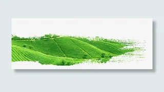 绿色梯田设计原野免抠