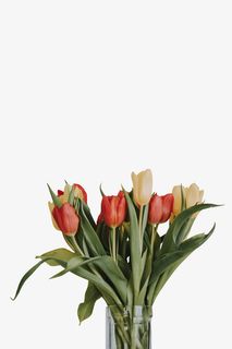 春天绿色一束花郁金香花免抠