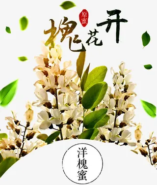 洋槐花开免抠