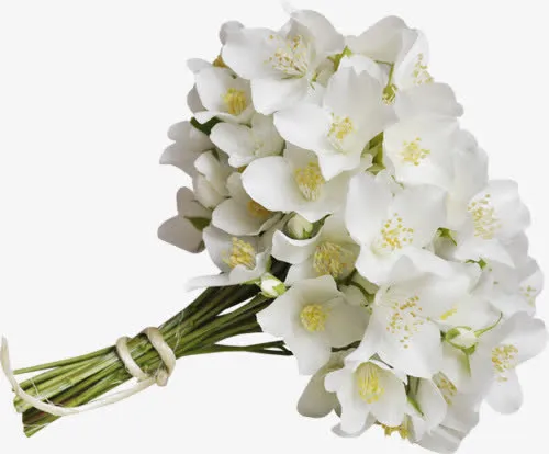 花朵免抠
