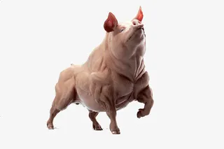 健康创意减肥设计免抠