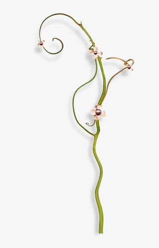 藤蔓装饰素材免抠