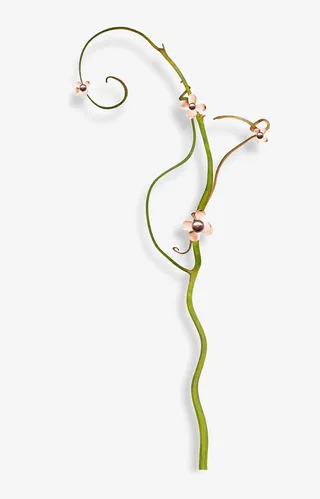 藤蔓装饰素材免抠