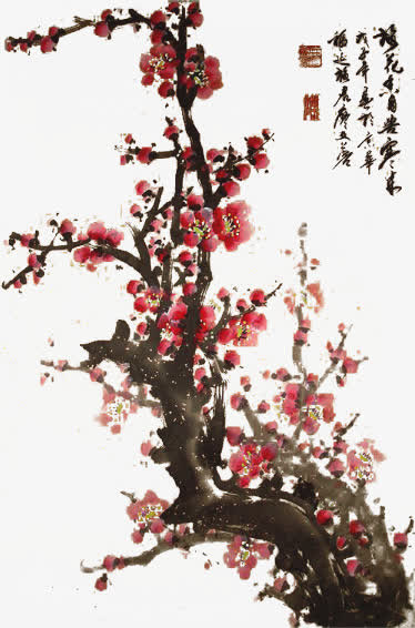 一树红梅开免抠