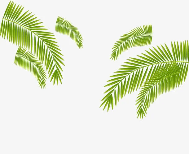 绿色清新植物免抠