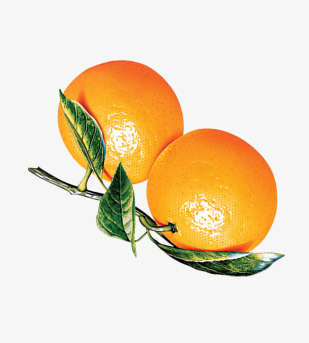 橙子免抠