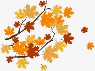 飘落的树叶免抠